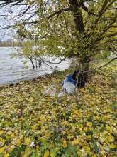 Bild zu gemeldetem Anliegen vom *2025-10-31 12:27:30