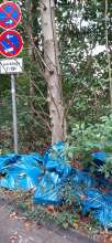 Bild zu gemeldetem Anliegen vom *2025-10-14 09:38:34