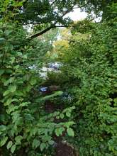 Bild zu gemeldetem Anliegen vom *2025-10-03 01:47:12