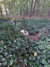 Bild zu gemeldetem Anliegen vom *2025-10-02 12:29:18