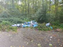 Bild zu gemeldetem Anliegen vom *2025-10-04 15:28:08