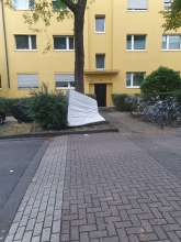 Bild zu gemeldetem Anliegen vom *2025-10-06 13:09:52