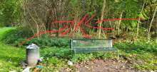 Baumstamm abgelagert. Bild zu gemeldetem Anliegen vom *2025-10-14 15:29:37