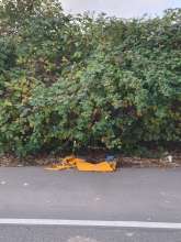 Bild zu gemeldetem Anliegen vom *2025-10-26 15:28:38