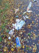 Müll im Park entsorgt