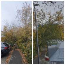 Bild zu gemeldetem Anliegen vom *2025-10-31 12:27:30