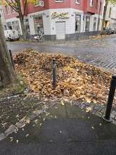 Bild zu gemeldetem Anliegen vom *2025-10-25 09:29:00