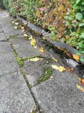 Bild zu gemeldetem Anliegen vom *2025-10-26 15:28:38