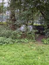 Bild zu gemeldetem Anliegen vom *2025-10-02 12:35:10