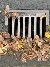 Bild zu gemeldetem Anliegen vom *2025-10-31 06:18:41