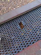 Bild zu gemeldetem Anliegen vom *2025-10-27 15:28:19