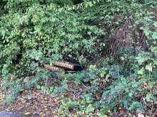 Bild zu gemeldetem Anliegen vom *2025-10-05 09:28:56