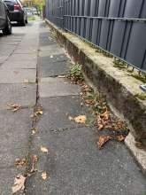Bild zu gemeldetem Anliegen vom *2025-10-20 06:29:48