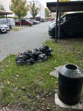 Bild zu gemeldetem Anliegen vom *2025-10-03 18:28:50