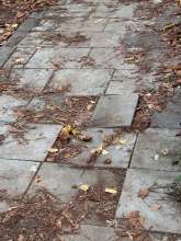 Bild zu gemeldetem Anliegen vom *2025-10-19 09:30:47