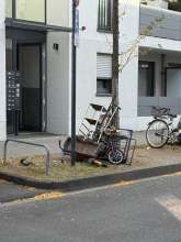 Bild zu gemeldetem Anliegen vom *2025-10-02 15:50:23