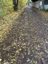 Bild zu gemeldetem Anliegen vom *2025-10-29 09:36:15