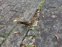 Bild zu gemeldetem Anliegen vom *2025-10-28 18:30:48