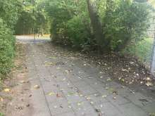 Bild zu gemeldetem Anliegen vom *2025-10-19 15:29:06