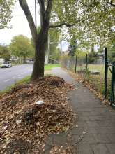 Bild zu gemeldetem Anliegen vom *2025-10-06 09:36:17