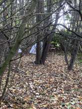 Bild zu gemeldetem Anliegen vom *2025-10-29 13:27:07