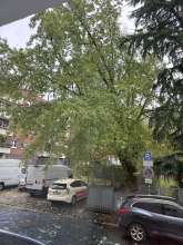 Bild zu gemeldetem Anliegen vom *2025-10-25 15:29:31