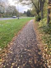 Bild zu gemeldetem Anliegen vom *2025-10-31 09:28:41