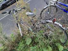 Bild zu gemeldetem Anliegen vom *2025-10-31 15:52:21