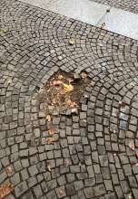 Bild zu gemeldetem Anliegen vom *2025-10-20 12:33:24