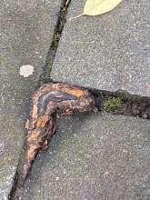 Bild zu gemeldetem Anliegen vom *2025-10-30 09:34:35