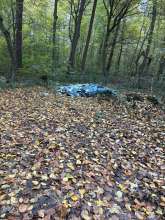 Bild zu gemeldetem Anliegen vom *2025-10-26 12:28:59