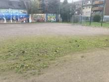 Bild zu gemeldetem Anliegen vom *2025-10-28 12:55:16