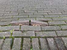 Bild zu gemeldetem Anliegen vom *2025-10-28 12:27:25