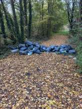 Bild zu gemeldetem Anliegen vom *2025-10-29 12:34:23