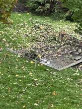 Bild zu gemeldetem Anliegen vom *2025-10-23 13:32:37