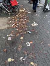 Bild zu gemeldetem Anliegen vom *2025-10-28 12:48:11