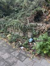 Bild zu gemeldetem Anliegen vom *2025-10-21 12:30:44