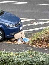 Bild zu gemeldetem Anliegen vom *2025-10-23 09:48:36