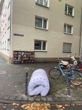 Bild zu gemeldetem Anliegen vom *2025-10-06 09:46:26