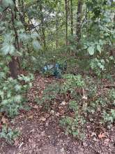 Bild zu gemeldetem Anliegen vom *2025-10-06 09:36:17