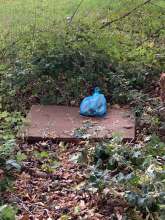 Bild zu gemeldetem Anliegen vom *2025-10-06 15:29:56