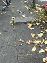 Bild zu gemeldetem Anliegen vom *2025-10-17 11:06:24