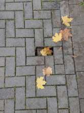 Bild zu gemeldetem Anliegen vom *2025-11-03 15:28:41