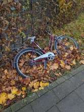 Bild zu gemeldetem Anliegen vom *2025-11-01 15:33:22