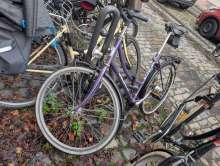 Bild zu gemeldetem Anliegen vom *2025-11-17 09:28:13