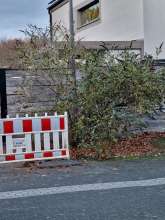 Bild zu gemeldetem Anliegen vom *2025-11-18 12:33:27