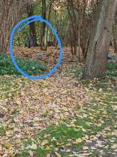 Bild zu gemeldetem Anliegen vom *2025-11-07 09:30:53