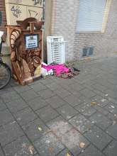 Bild zu gemeldetem Anliegen vom *2025-11-13 18:07:16