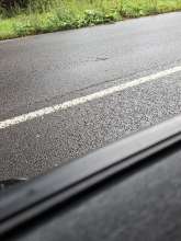 Bild zu gemeldetem Anliegen vom *2025-11-28 12:29:45