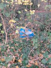 Bild zu gemeldetem Anliegen vom *2025-11-25 20:21:47